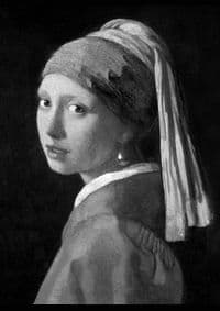Vermeer - Ludwig Goldscheider, Wayne Franits, Phaidon Press Ltd 1