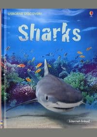 Sharks - Jonathan Sheikh-Miller, Usborne Publishing Ltd 1