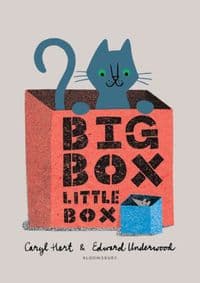 Big Box Little Box - Caryl Hart, Bloomsbury Childrens 1