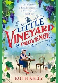 The Little Vineyard in Provence - autor neuvedený