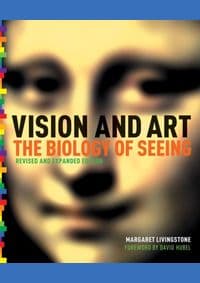 Vision and Art Updated and Expanded Edition - Margaret S. Livingstone, Abrams 1