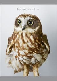 Bird Love - Leila Jeffreys, Abrams 1