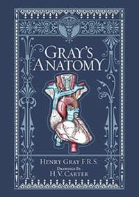 Gray´s Anatomy (Barnes & Noble Collectible Classics: Omnibus Edition) - Henry Gray, Barnes & Noble 1