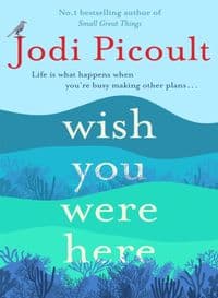 Wish You Were Here - Picoultová Jodi