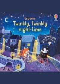 Twinkly Twinkly Night Time - Sam Taplin, Usborne Publishing