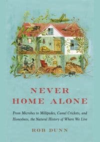 Never Home Alone - autor neuvedený 1