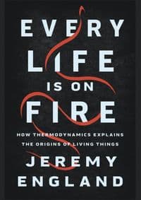 Every Life Is on Fire - autor neuvedený