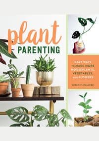 Plant Parenting - autor neuvedený 1