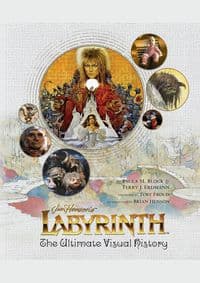 Labyrinth - Paula M. Block, Div of Palace Publishing Group