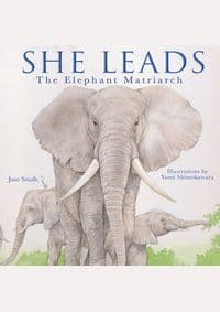She Leads - autor neuvedený