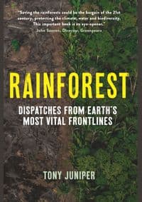 Rainforest - autor neuvedený 1