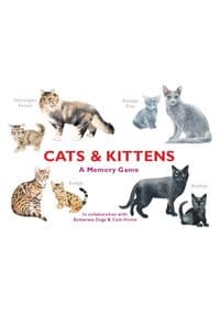 Cats & Kittens - autor neuvedený 1