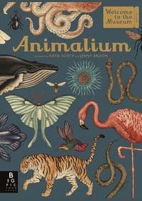 Animalium - Jenny Broom, Templar Publishing 1