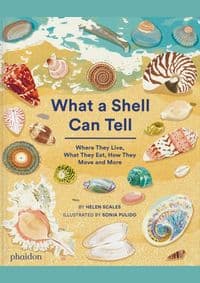 What A Shell Can Tell - Helen Scales, Phaidon Press Ltd 1
