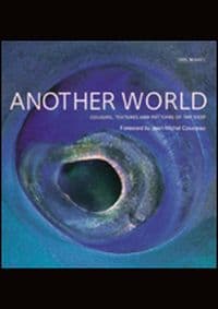 Another World - autor neuvedený
