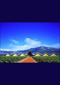 Winery Design - autor neuvedený 1