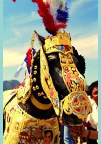 Luxury Equestrian Design - Wolfgang Behnken, teNeues