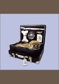 Luxury for Dogs - Manuela von Perfall, teNeues 1