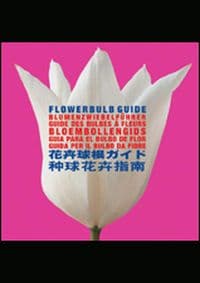 Flower Guide - autor neuvedený 1