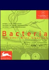 Bacteria and Other Micro Organisms - autor neuvedený