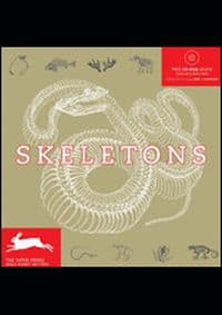 Skeletons - autor neuvedený 1
