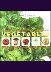Vegetables - autor neuvedený 1