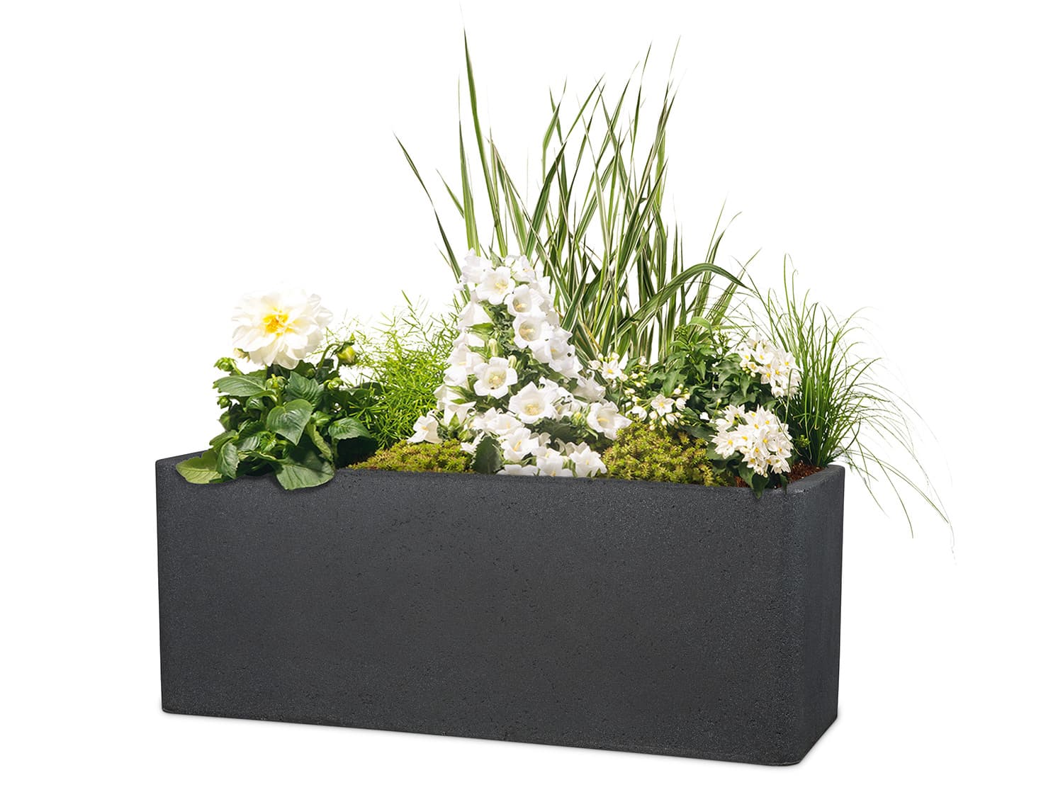 Scheurich Dlhý kvetináč Cube Box (žula/čierna, 60 cm) 1