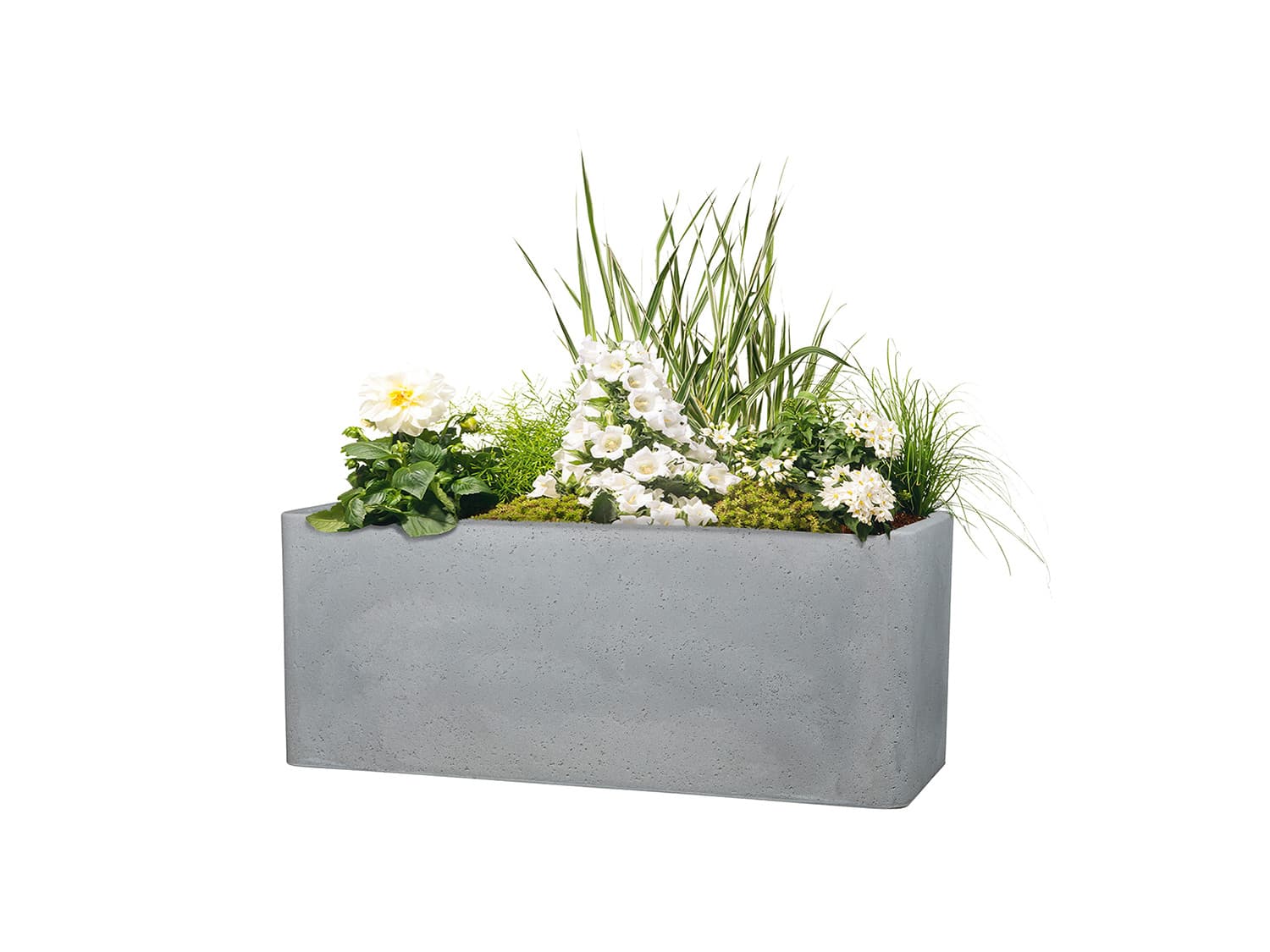 Scheurich Dlhý kvetináč Cube Box (kamenistá sivá, 60 cm) 1