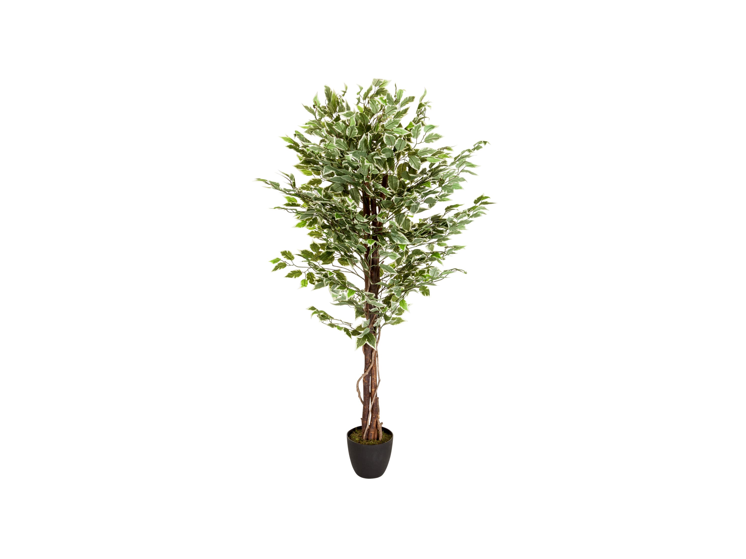 hjh OFFICE Umelá rastlina FICUS 1