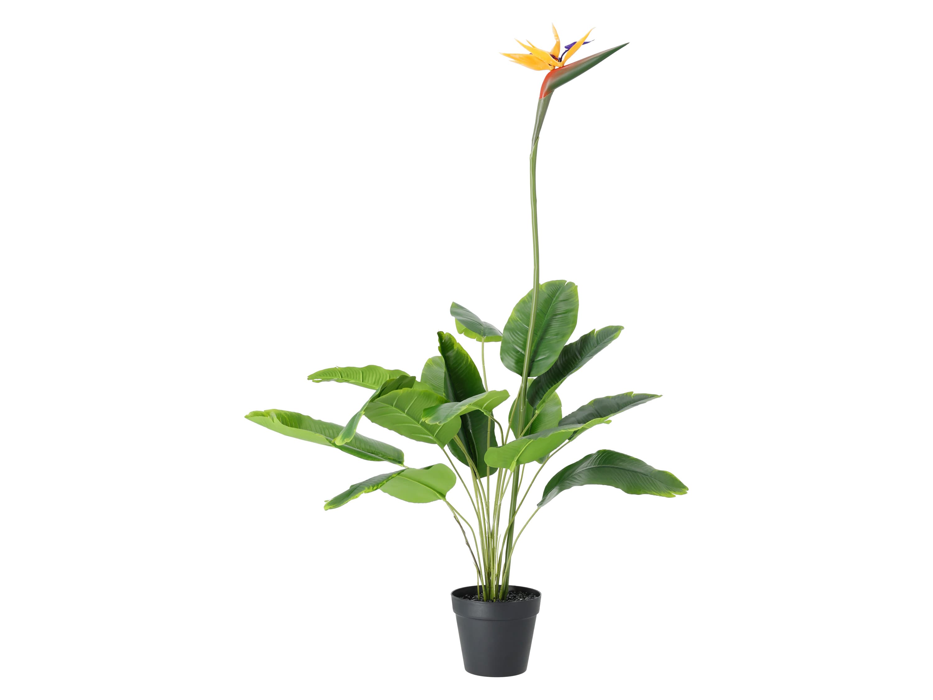 LIVARNO® Umelá rastlina, 125 cm (strelícia)