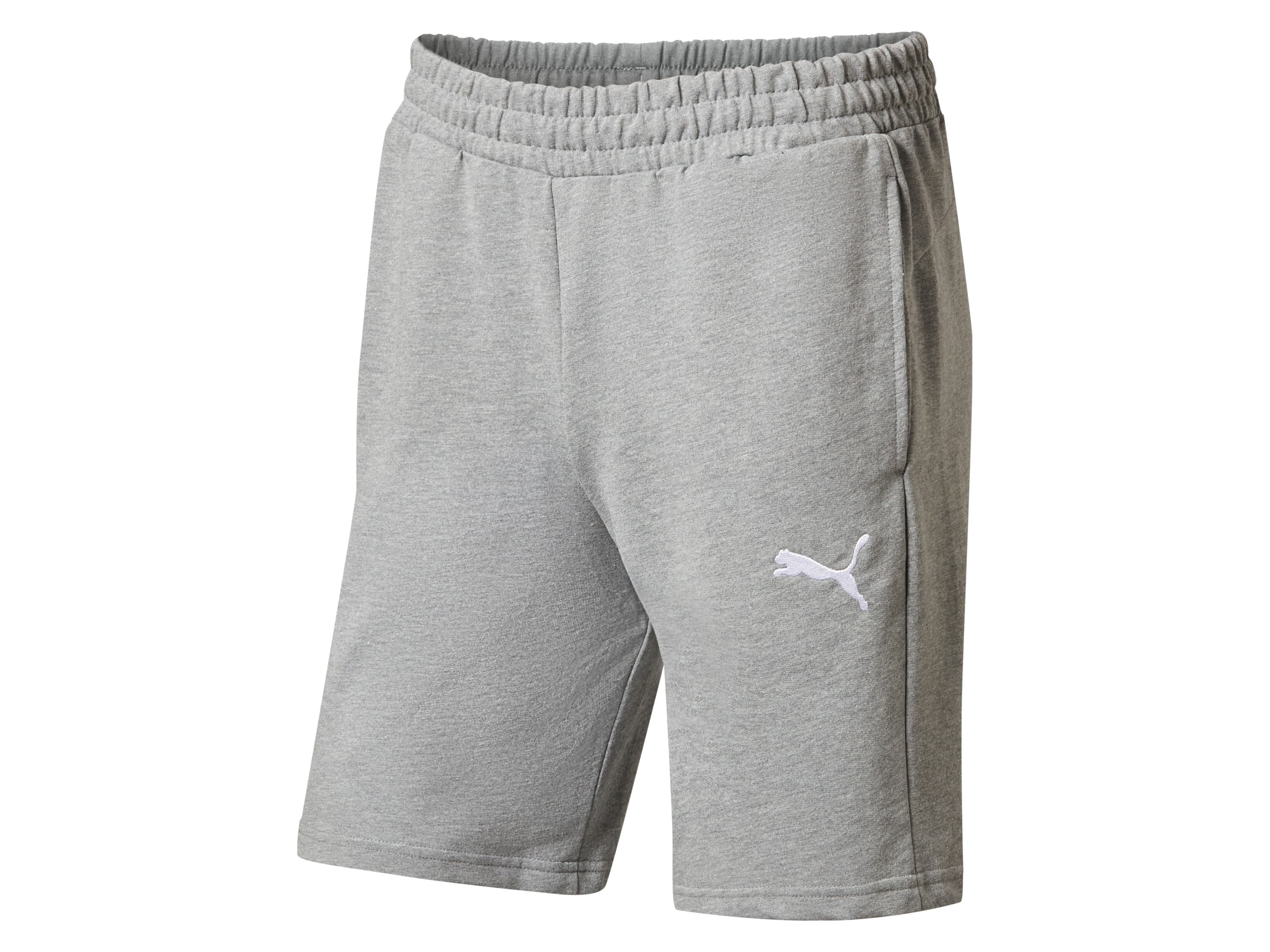 Puma Pánske teplákové šortky TeamGOAL Casuals (sivá, M)