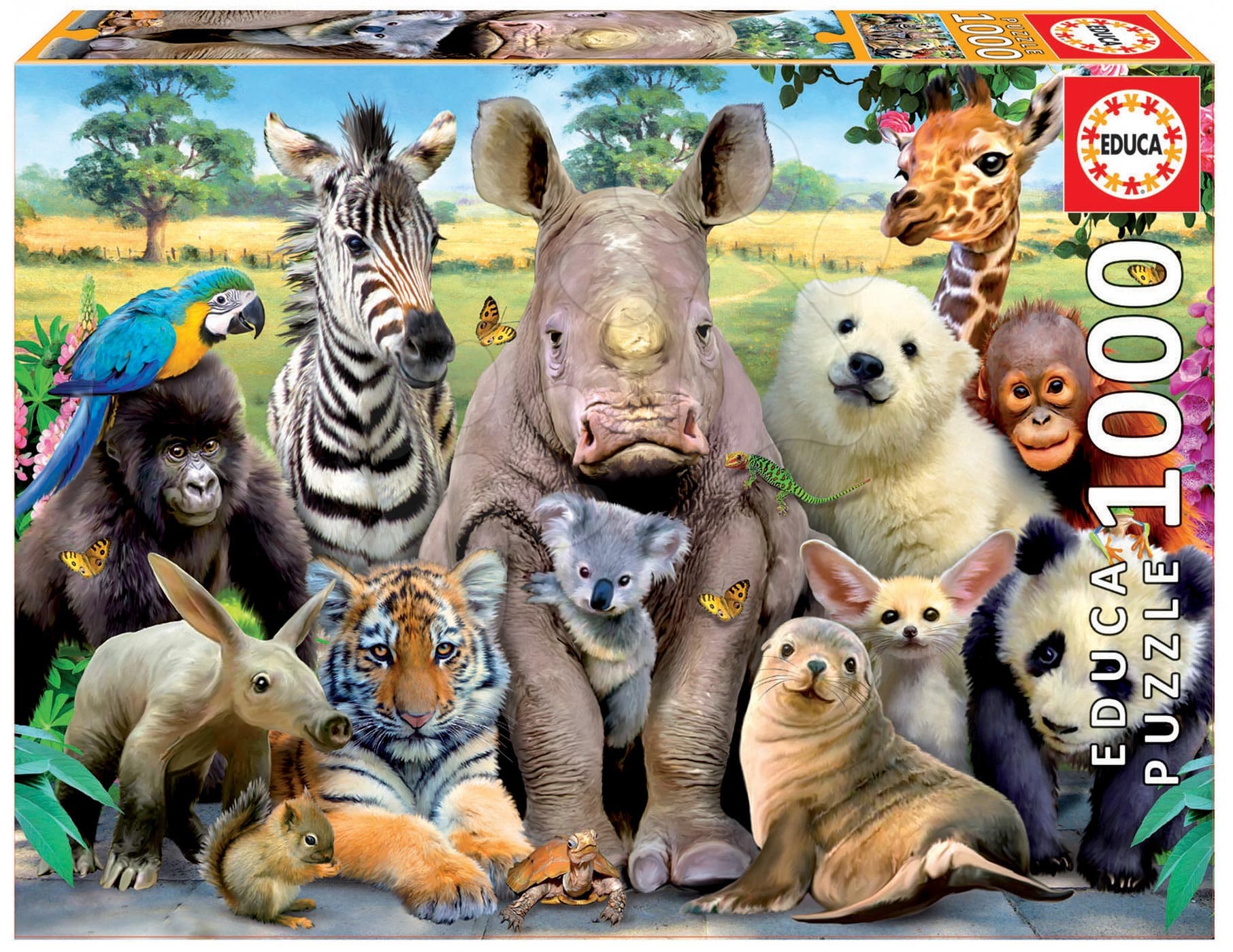 Educa Puzzle It's a Class Photo 1000 dielikov 15517 farebné 1