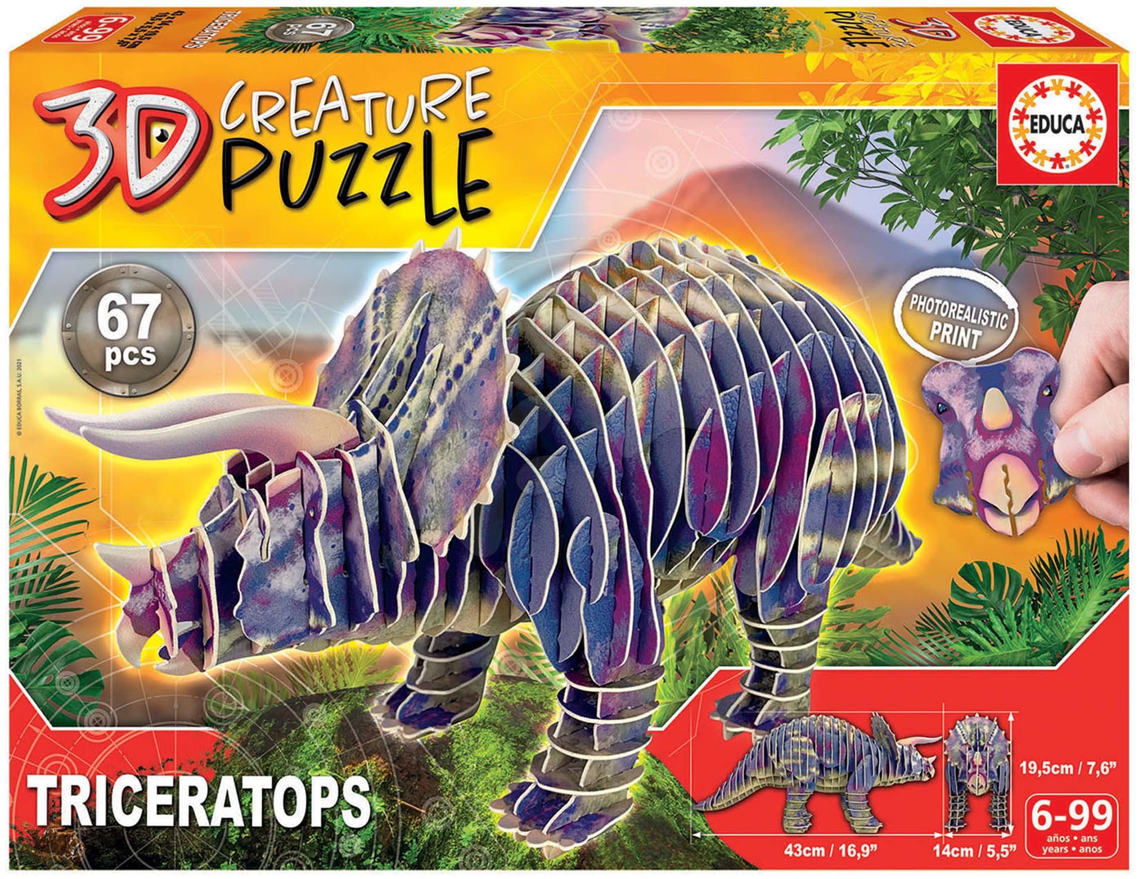 Puzzle dinosaurus Triceratops 3D Creature Educa dĺžka 43 cm 67 dielov od 6 rokov 1