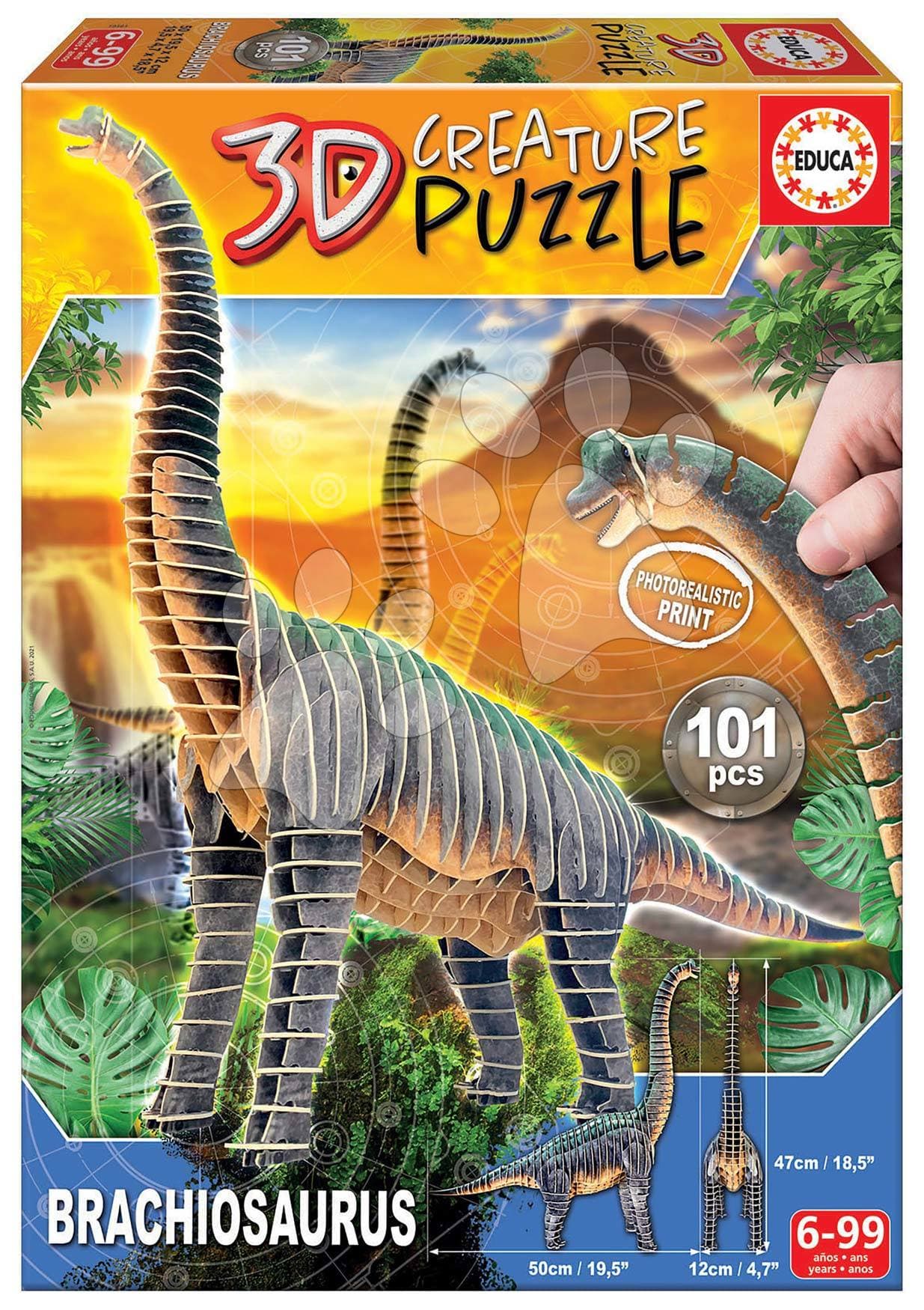 Puzzle dinosaurus Brachiosaurus 3D Creature Educa dĺžka 50 cm 101 dielov 1