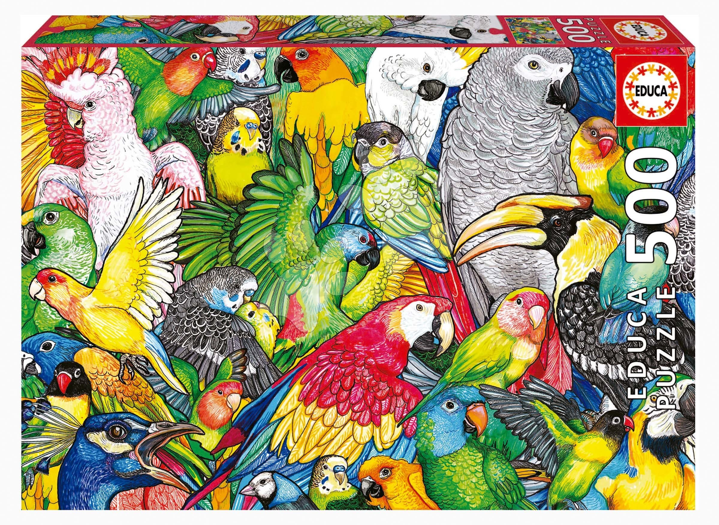 Puzzle Parrots Educa 500 dielov a Fix lepidlo 1