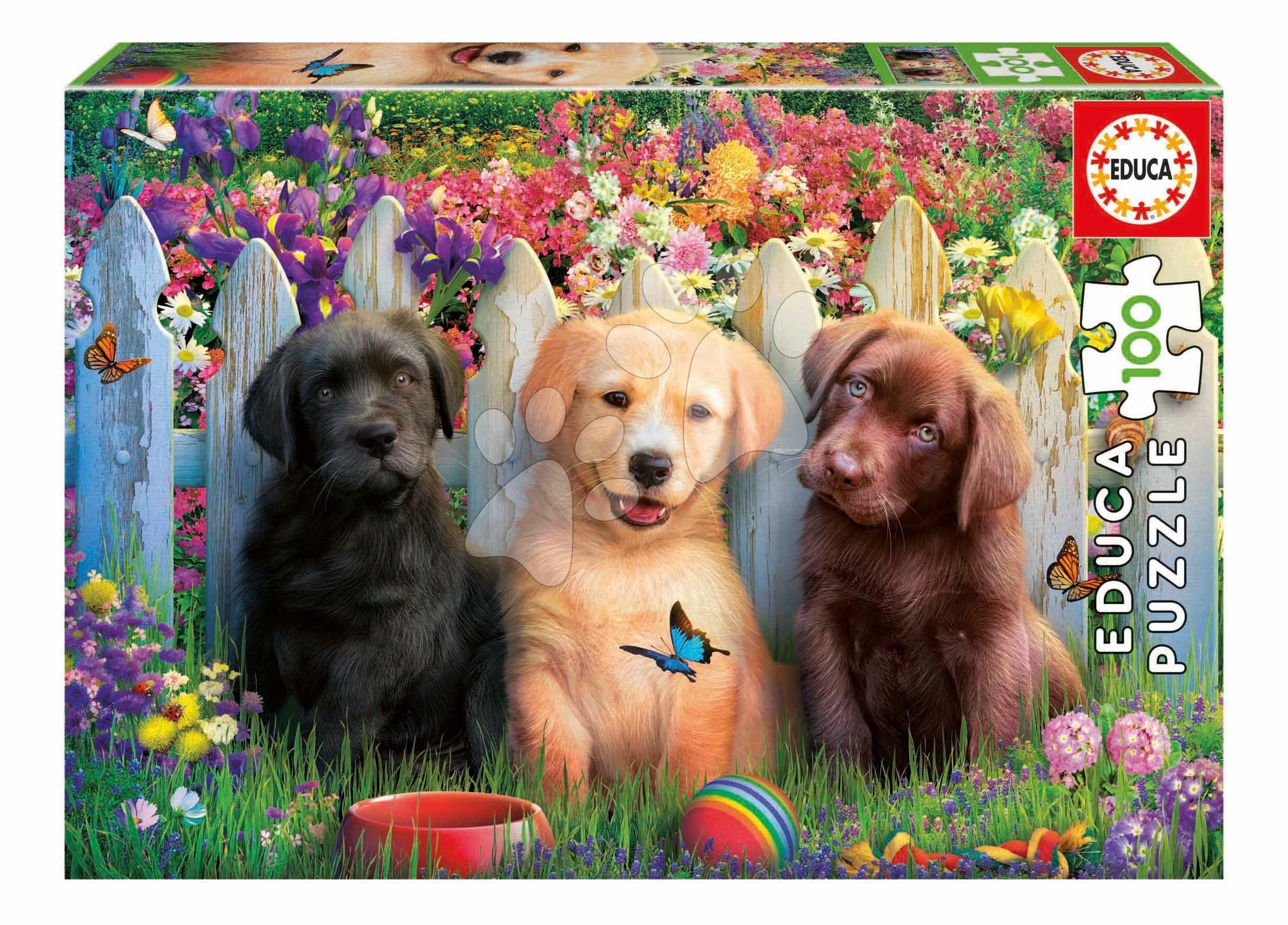 Puzzle Posing Puppies Educa 100 dielov od 6 rokov 1