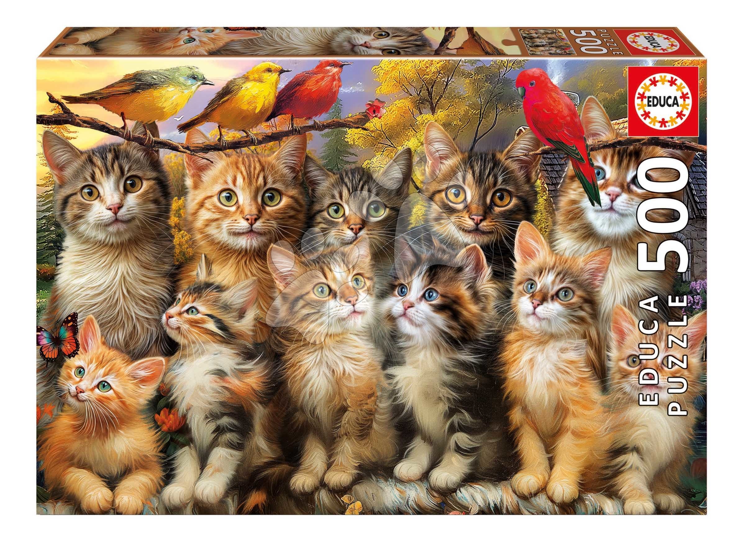 Puzzle Kittens and Birds Educa 500 dielov a Fix lepidlo 1