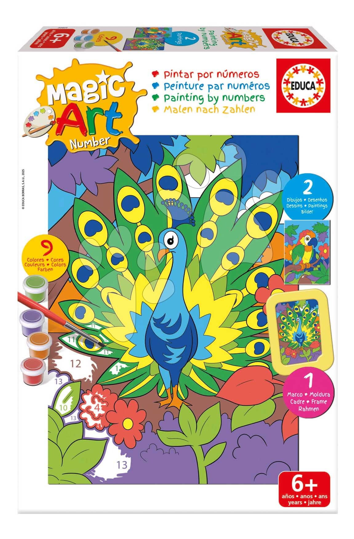 Maľovanie podľa čísiel Papagáj a páv Magic Art Number Peacock & Parrot Educa 2 obrázky s rámikom a 9 farieb so štetcom a paletou od 6 rokov