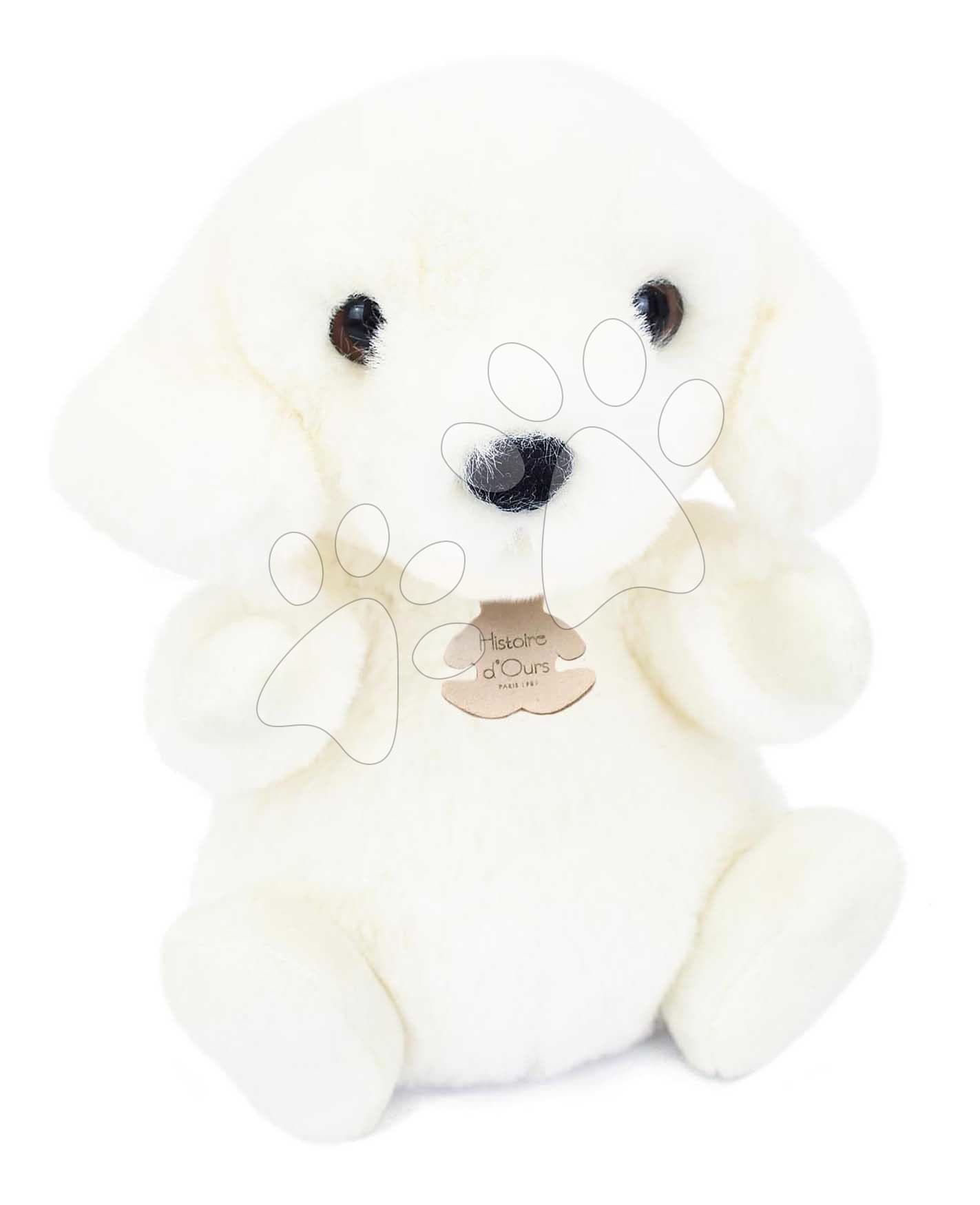 Plyšový psík The Little Companions Histoire d’ Ours biely 20 cm od 0 mes