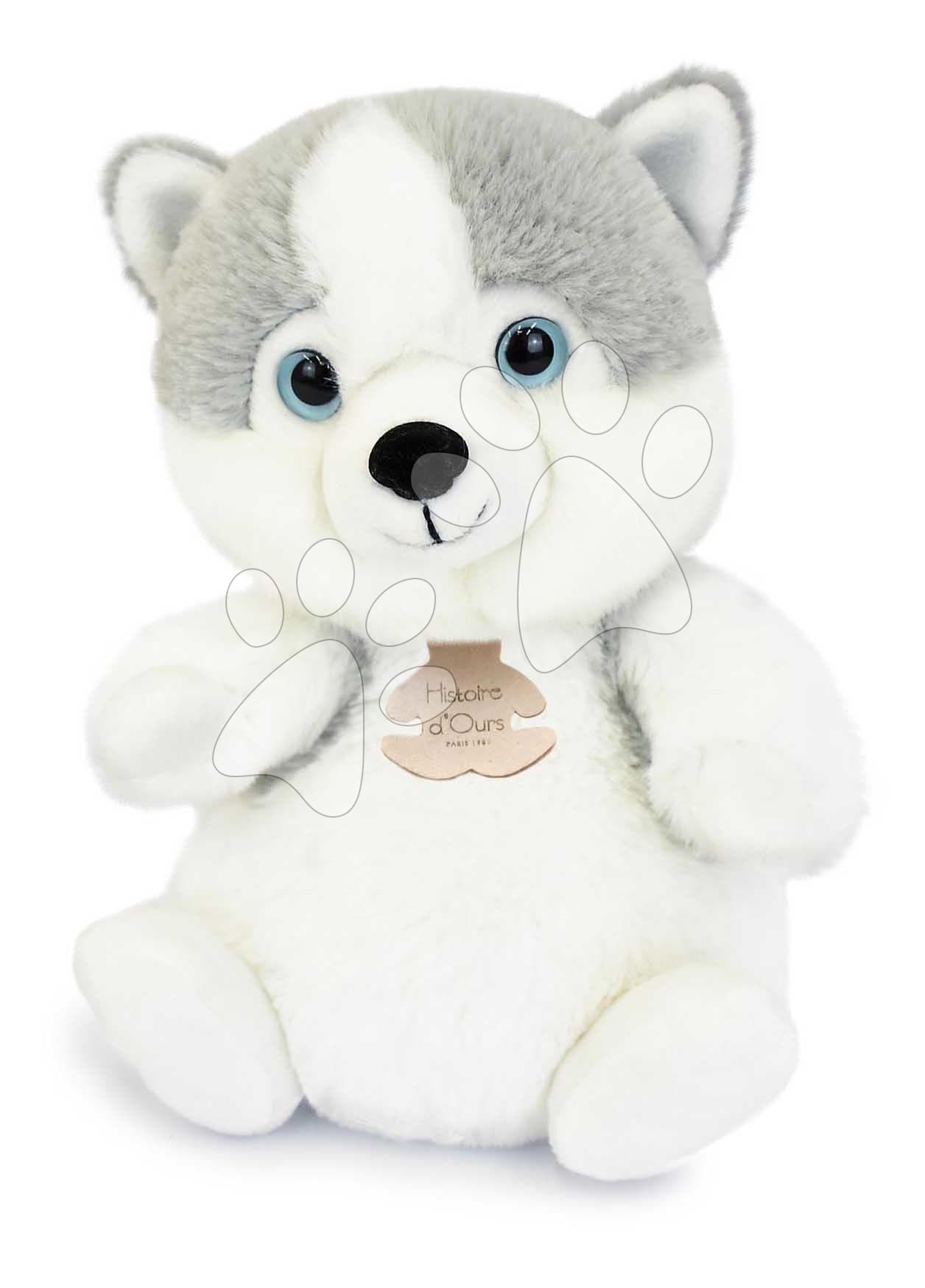 Plyšový psík Husky The Little Companions Histoire d’ Ours biely 20 cm od 0 mes