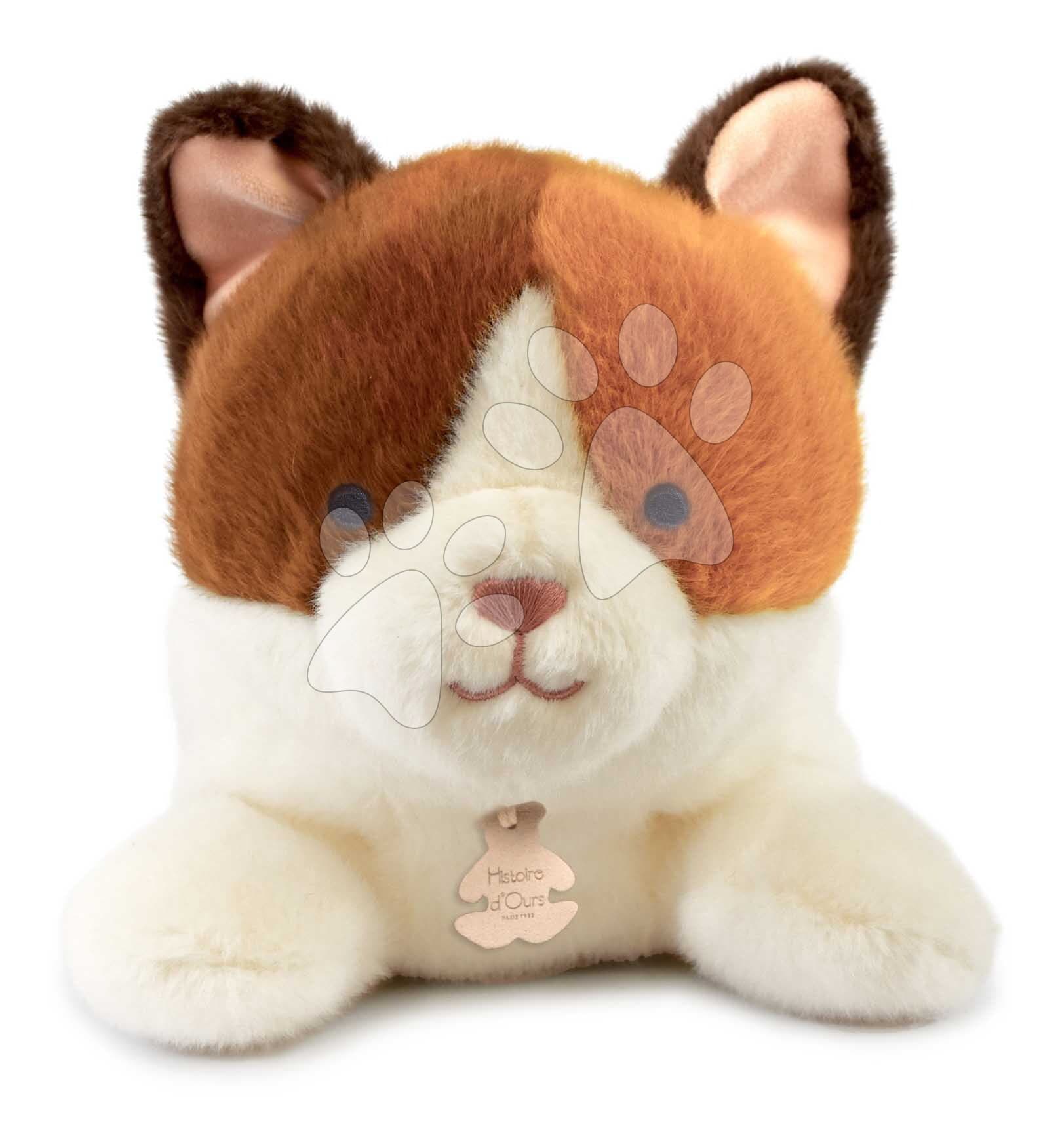 Plyšová mačička s ťažkým bruškom P'tit Relax Cat Histoire d’ Ours bielo-hnedá 22 cm od 0 mes 1
