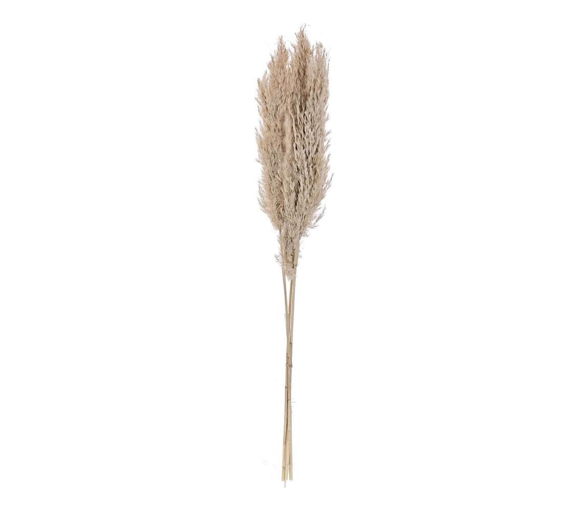Eglo 428082 - Sušený kvet GUIPOS 85 cm béžová 428082 1