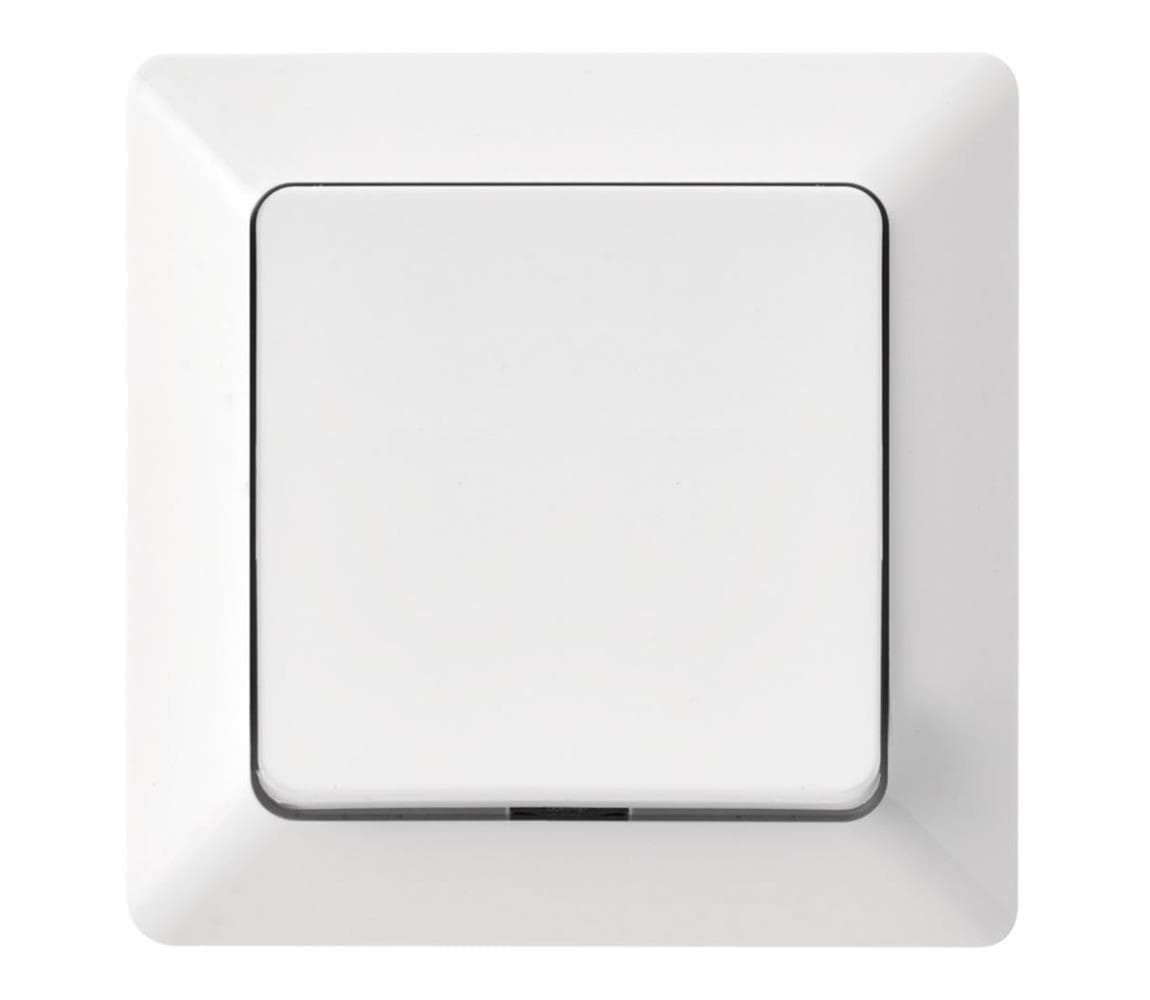 Spínač domový striedavý 250V/10A A6100.0 1