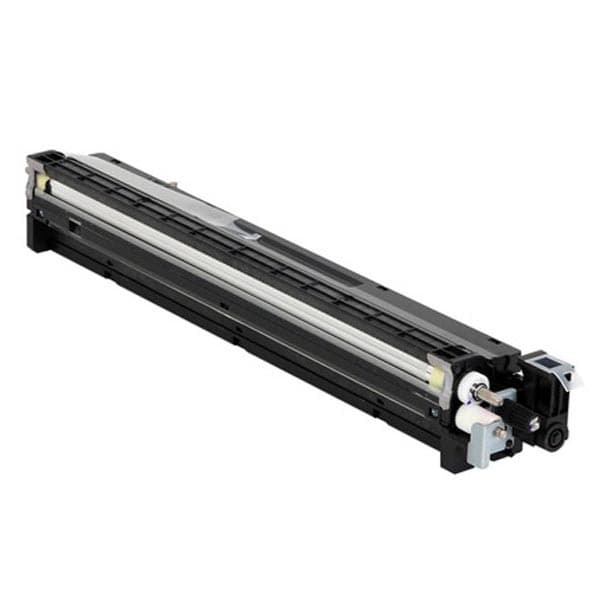 RICOH D1773020 - originálny