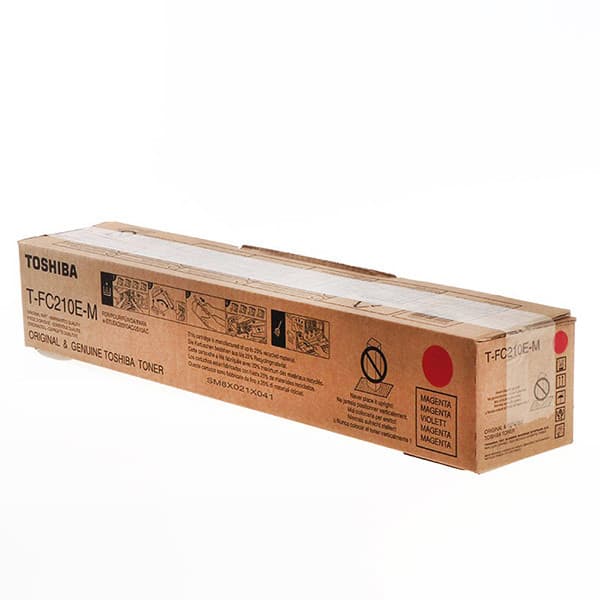 TOSHIBA 6AJ00000165 - originálny 1