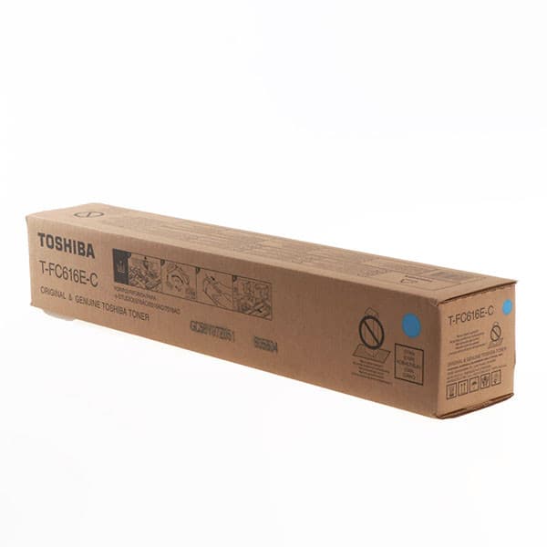 TOSHIBA 6AK00000369 - originálny 1