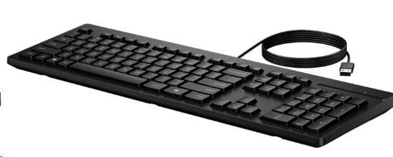 HP 125 G2 Wired USB Keyboard - ruská 1