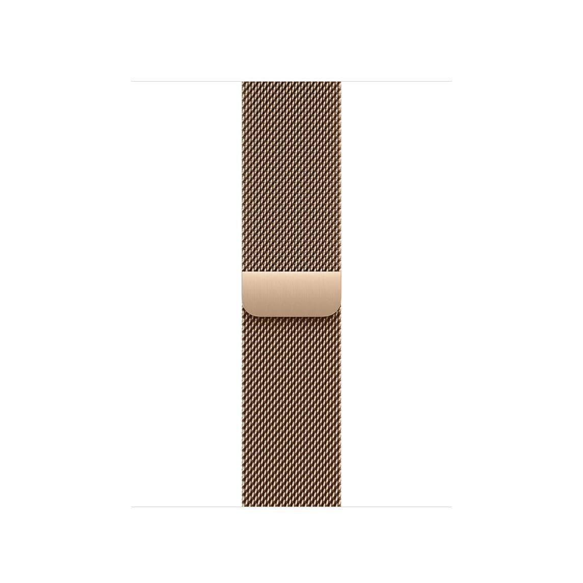 Watch Acc/42/Gold Milanese Loop 1