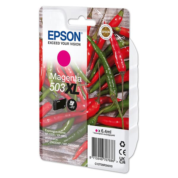 EPSON C13T09R34010 - originálny