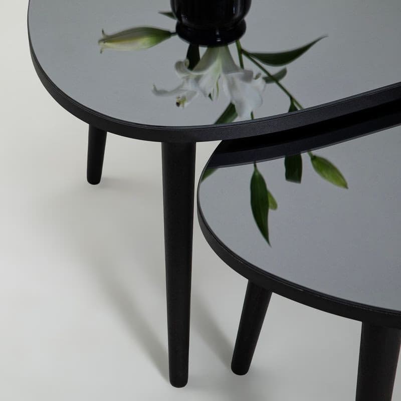 Sada odkladacích stolíkov (2 kusy) Gusto Set- Black, Fume 4